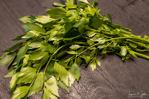 Krydd og geymsla þeirra!